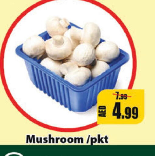 Mushroom  in Leptis Hypermarket  in UAE - Umm al Quwain