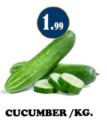  Cucumber  in ستوب ان شوب in الإمارات العربية المتحدة , الامارات - الشارقة / عجمان