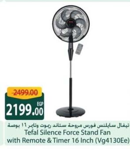 TEFAL Fan  in Spinneys  in Egypt - Cairo