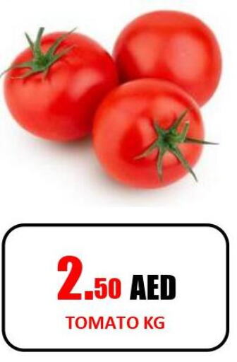  Tomato  in Gift Day Hypermarket in UAE - Sharjah / Ajman