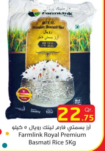  Basmati / Biryani Rice  in دانة هايبرماركت in قطر - الوكرة