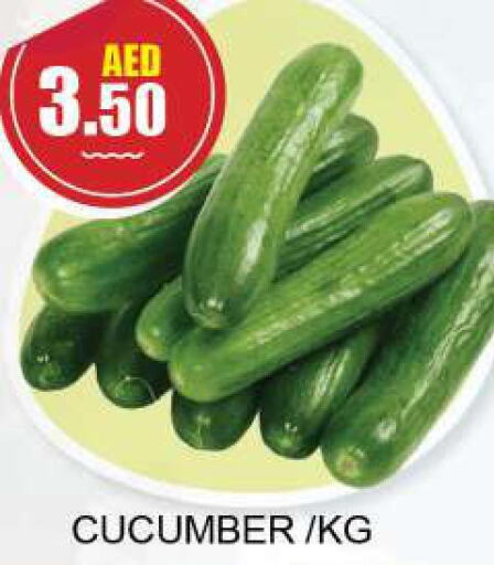  Cucumber  in كويك سوبرماركت in الإمارات العربية المتحدة , الامارات - الشارقة / عجمان