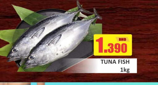  Tuna  in Talal Markets in Bahrain
