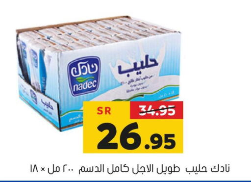 NADEC   in Al Amer Market in KSA, Saudi Arabia, Saudi - Al Hasa