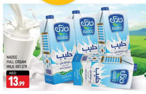 NADEC Full Cream Milk  in Shaklan  in UAE - Dubai