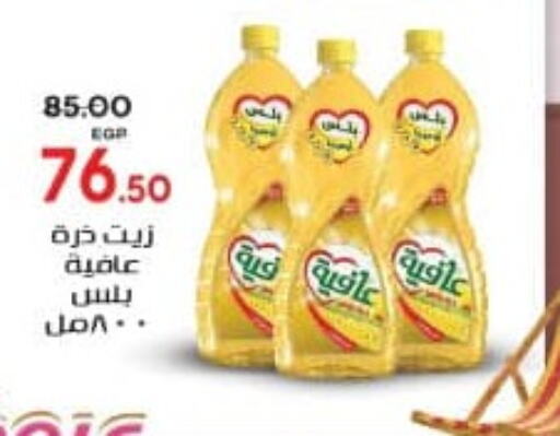 AFIA Corn Oil  in جلهوم ماركت in Egypt - القاهرة