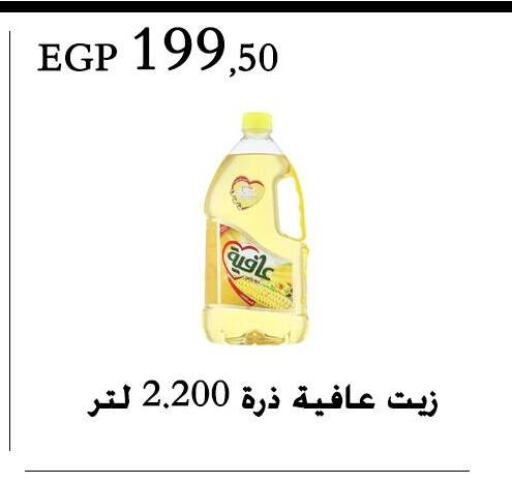 AFIA Corn Oil  in عرفة ماركت in Egypt - القاهرة