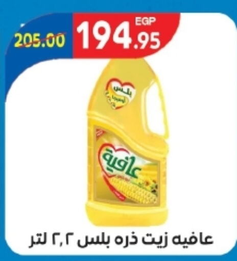 AFIA Corn Oil  in Zaher Dairy in Egypt - Cairo