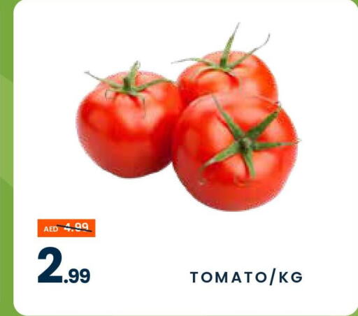  Tomato  in MADHOOR SUPERMARKET L.L.C in UAE - Sharjah / Ajman