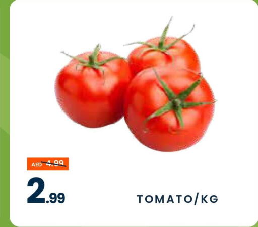 Tomato