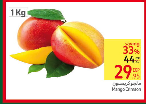 Mango Mango  in كارفور in Egypt - القاهرة
