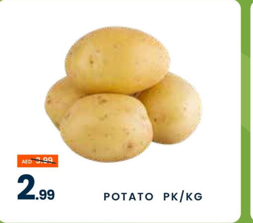  Potato  in MADHOOR SUPERMARKET L.L.C in UAE - Sharjah / Ajman