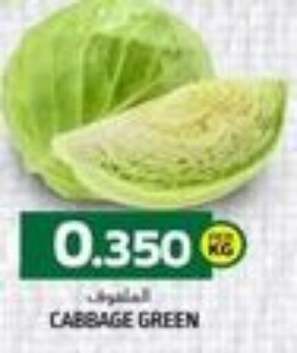  Cabbage  in KM Trading  in Oman - Sohar