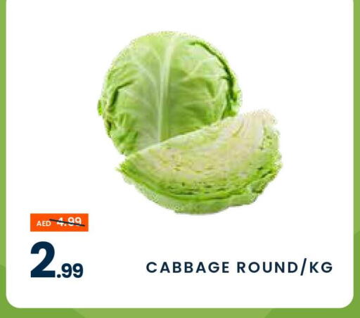  Cabbage  in MADHOOR SUPERMARKET L.L.C in UAE - Sharjah / Ajman