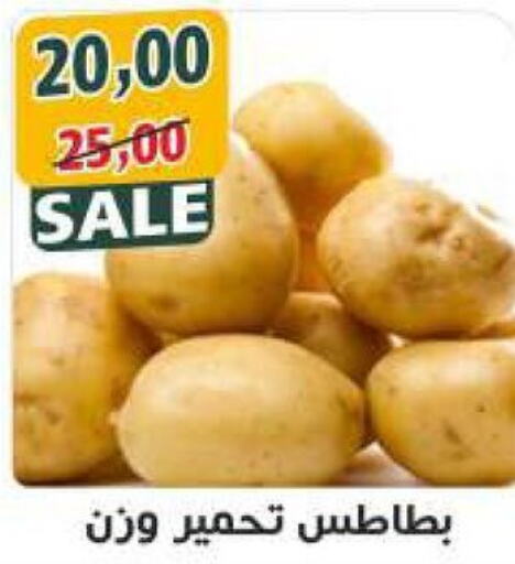  Potato  in أولاد حسان in Egypt - القاهرة