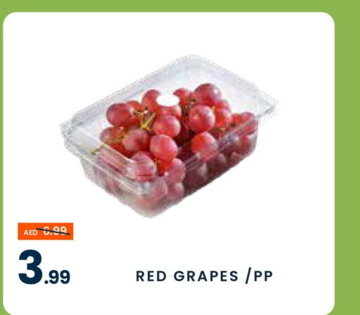  Grapes  in مدهور سوبرماركت in الإمارات العربية المتحدة , الامارات - الشارقة / عجمان