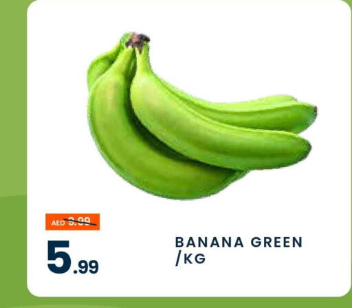  Banana Green  in MADHOOR SUPERMARKET L.L.C in UAE - Sharjah / Ajman