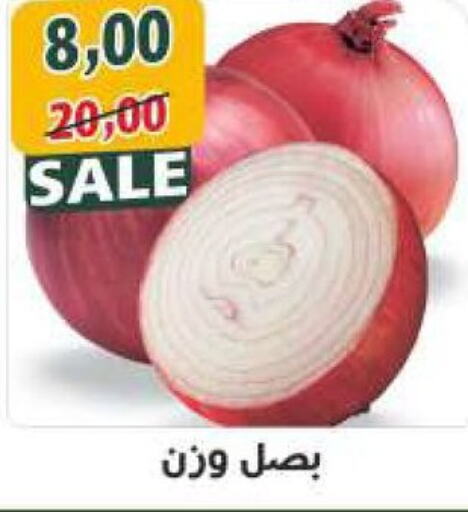  Onion  in أولاد حسان in Egypt - القاهرة