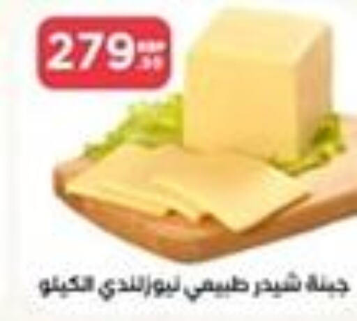  Cheddar Cheese  in MartVille in Egypt - Cairo