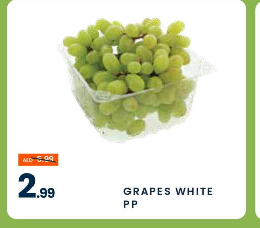  Grapes  in مدهور سوبرماركت in الإمارات العربية المتحدة , الامارات - الشارقة / عجمان