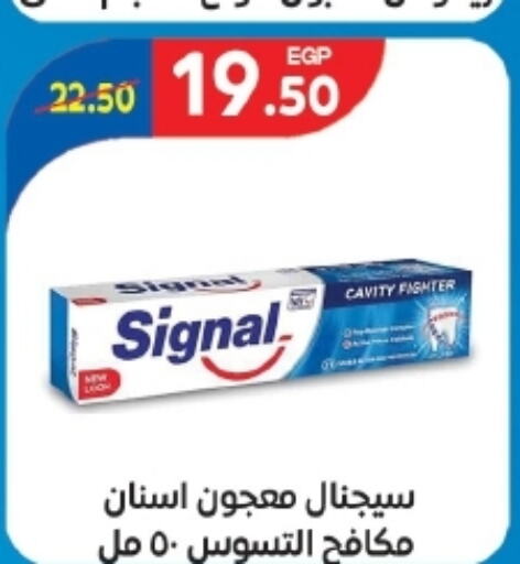 SIGNAL Toothpaste  in Zaher Dairy in Egypt - Cairo