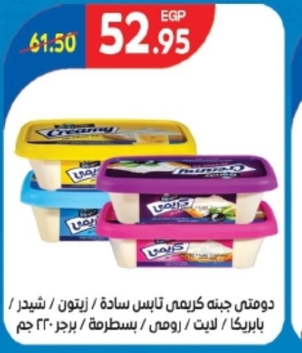 DOMTY Cheddar Cheese  in Zaher Dairy in Egypt - Cairo