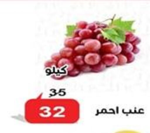  Grapes  in الدنيا بخير in Egypt - القاهرة