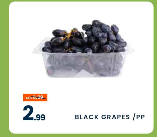  Grapes  in MADHOOR SUPERMARKET L.L.C in UAE - Sharjah / Ajman