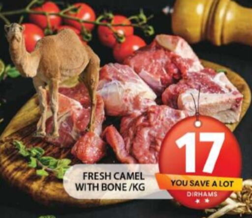  Camel meat  in جراند هايبر ماركت in الإمارات العربية المتحدة , الامارات - الشارقة / عجمان