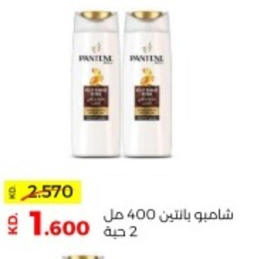 PANTENE Shampoo / Conditioner  in Sabah Al Salem Co op in Kuwait - Kuwait City