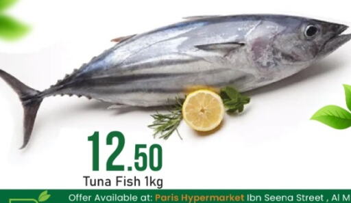  Tuna  in Paris Hypermarket in Qatar - Al-Shahaniya