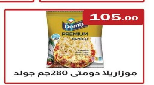 DOMTY Mozzarella  in ابا ماركت in Egypt - القاهرة