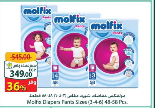 MOLFIX