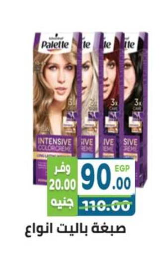 PALETTE Hair Colour  in Dream Market in Egypt - Cairo