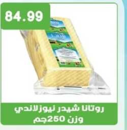 ROTANA Cheddar Cheese  in Euromarche in Egypt - Cairo