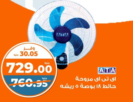  Fan  in كازيون in Egypt - القاهرة