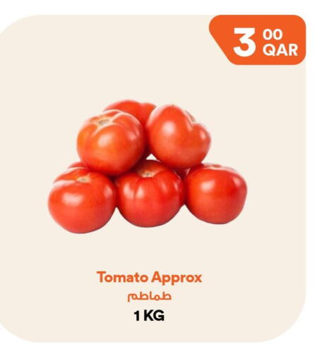  Tomato  in طلبات مارت in قطر - الوكرة