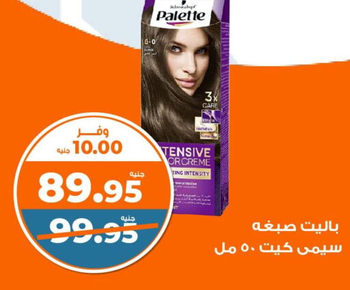 PALETTE Hair Colour  in كازيون in Egypt - القاهرة