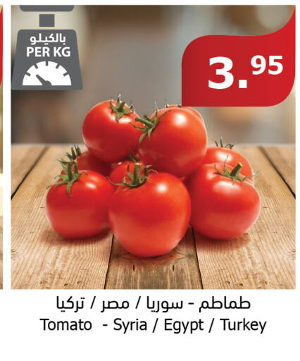  Tomato  in الراية in مملكة العربية السعودية, السعودية, سعودية - تبوك