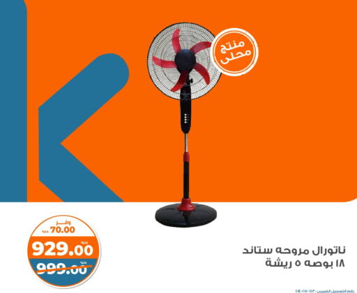  Fan  in كازيون in Egypt - القاهرة