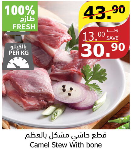  Camel meat  in Al Raya in KSA, Saudi Arabia, Saudi - Jeddah