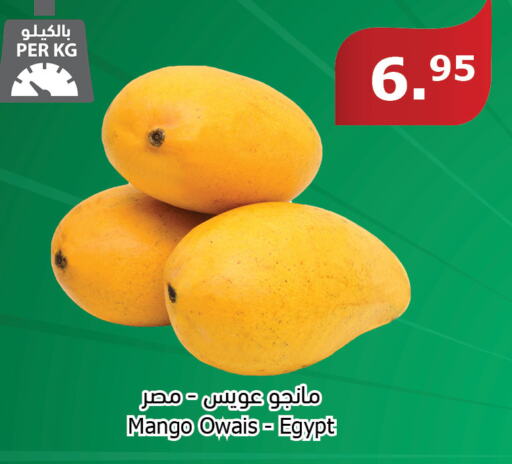 Mango Mango  in الراية in مملكة العربية السعودية, السعودية, سعودية - تبوك