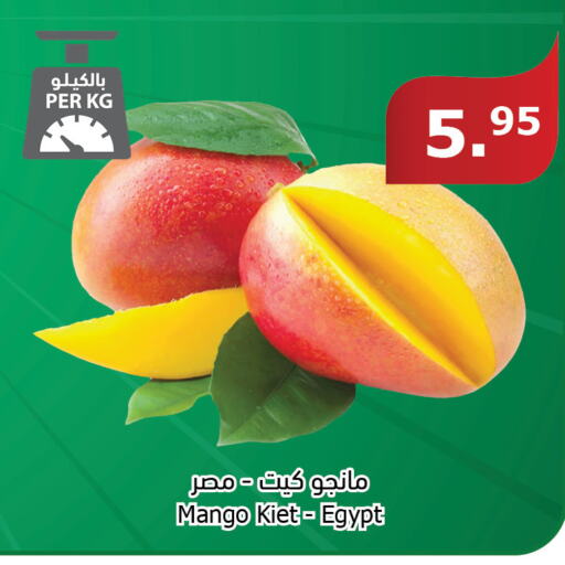 Mango Mango  in Al Raya in KSA, Saudi Arabia, Saudi - Tabuk