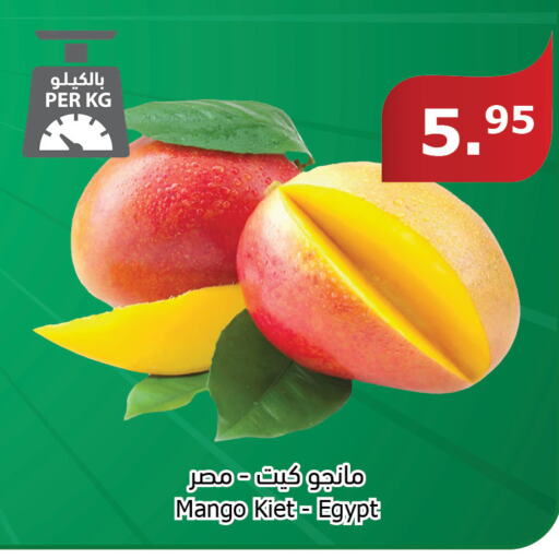 Mango Mango  in Al Raya in KSA, Saudi Arabia, Saudi - Jeddah