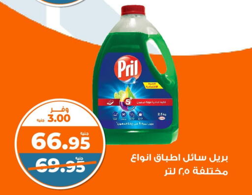 PRIL   in كازيون in Egypt - القاهرة