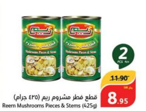 REEM Tuna - Canned  in هايبر بنده in مملكة العربية السعودية, السعودية, سعودية - خميس مشيط