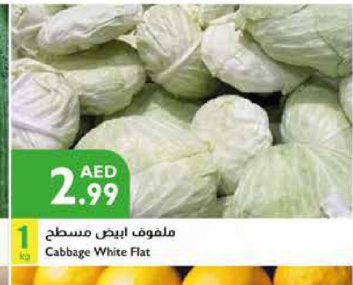  Cabbage  in إسطنبول سوبرماركت in الإمارات العربية المتحدة , الامارات - الشارقة / عجمان
