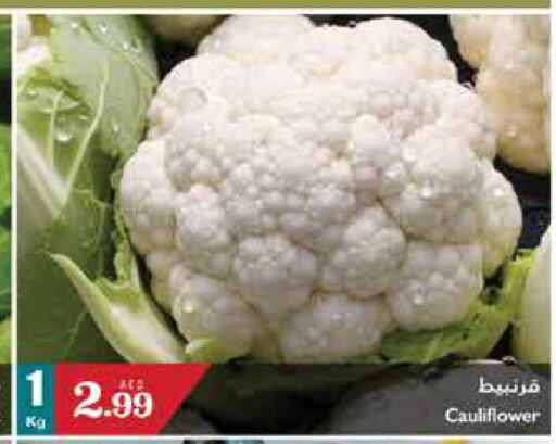  Cauliflower  in تروليز سوبرماركت in الإمارات العربية المتحدة , الامارات - الشارقة / عجمان