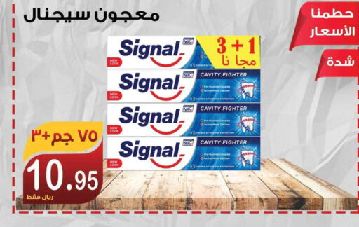 SIGNAL Toothpaste  in Smart Shopper in KSA, Saudi Arabia, Saudi - Jazan