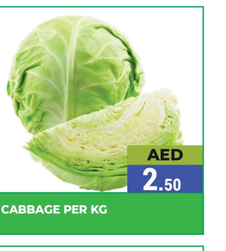  Cabbage  in Kerala Hypermarket in UAE - Ras al Khaimah